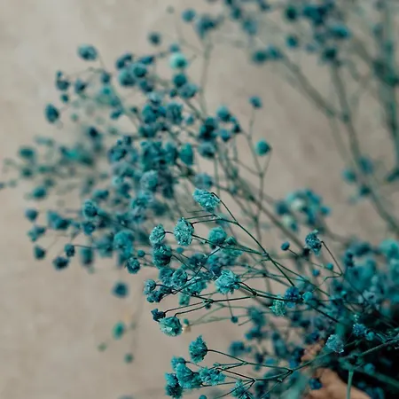 Goodija 2 Apartament *